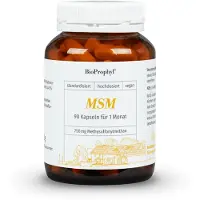 BioProphyl MSM 90 St