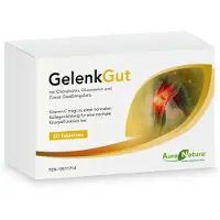 Pharmatura GmbH & Co. KG Auranatura Gelenkgut Tabletten 60 St