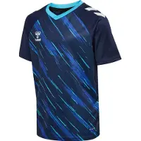 Hummel Kindertrikot Triumph