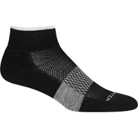Icebreaker W Multisport Light Mini black/snow/metro hthr (IB377) S