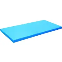 Lacor 60x40x2 cm