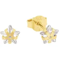 Amor Ohrstecker für Damen, Gold 375, Zirkonia (synth.) | Stern amor Gold