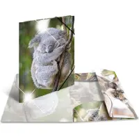 Herma Eckspannermappe "Koala", PP Glossy, DIN A4 Masse: (B)244 x (T)4 x (H)320 mm, mit 3 Innenklappen