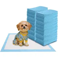 Coast Pinkelmatten für Hunde - 100 Stück - Auslaufsicher - 5 Schichten - 60 x 60 cm