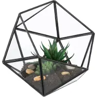 Relaxdays Geometrisches Pflanzenterrarium aus Glas