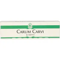 Hecht-Pharma Gmbh Carum Carvi Zäpfchen 20 St