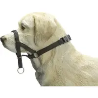 Beeztees Bz Dog Control M Schwz