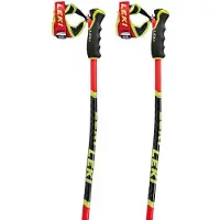 LEKI Herren Alpin-Skistock WCR TBS GS 3D