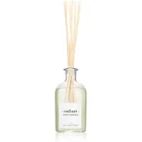 Ambientair The Olphactory Aroma-Diffusor „Spiced Tangerine“, strahlend, 250 ml