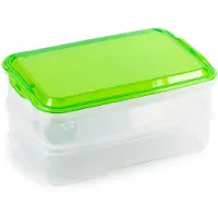 PlasticForte Fleischaufbewahrungsschalen - transparent - 24 x 16 x 11 cm - 2 Schichten - Sandwich-aufbewahru