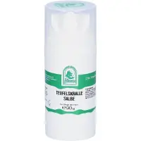 Hecht-Pharma Gmbh Teufelskralle Salbe 90 g
