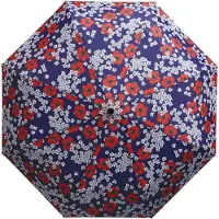 Cedon Easy Umbrella Anemone.2038849