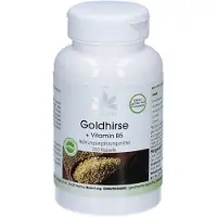 WARNKE GOLDHIRSE+Vitamin B5 Kapseln 250 St