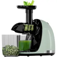 Kitchenbrothers Slow Juicer - Entsafter - Obst- und Gemüsepresse - 700ml - Mit Fruchtfleischbehälter - Pastellgrün
