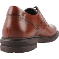 BUY SHOES Halbschuhe Fluchos 10225-962160 für Herren