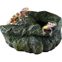 Zoo med Reptilienhöhle