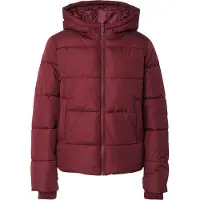 Pieces Pcbee Wattierte Jacke | Tawny Port | XL