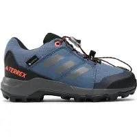 Adidas TERREX GTX K 000 WONSTE/GRETHR/IMPORA