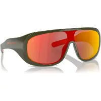 Ralph Lauren Sonnenbrillen 0PH4215U 52166Q Grün