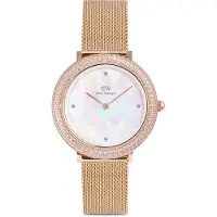 Daniel Wellington Uhr DW00100823 CIRCONIES Roségold