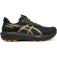 Asics Schuhe 1011C078001