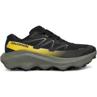 Salomon Schuhe Ultra Flow 2 Gtx 478832