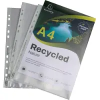 Exacompta Beutel mit 50 Prospekthüllen, genarbt, Recycling-PP 120, für A4, Forever