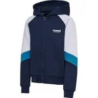 Hummel Loose Blocked Reißverschlusspullover