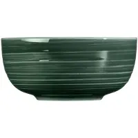 Seltmann Terra Moosgrün Müslischale 15 cm Terra Moosgrün 001.765022