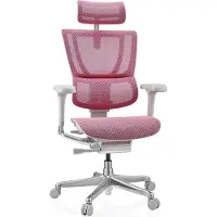 Hjh OFFICE Luxus Chefsessel ERGOHUMAN SLIM G GEN2 Ergonomischer Bürostuhl mit Armlehnen (höhenverstellbar) Netzstoff Drehstuhl für Büro, Zuhause