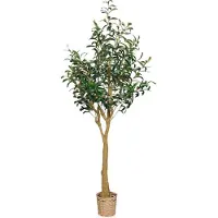 Hjh OFFICE Olive Ii