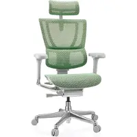 Hjh OFFICE Luxus Chefsessel ERGOHUMAN SLIM G GEN2 Ergonomischer Bürostuhl mit Armlehnen (höhenverstellbar) Netzstoff Drehstuhl für Büro, Zuhause