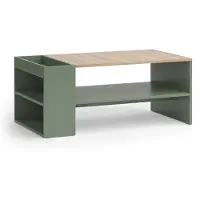 Vicco Couchtisch Wido Grün 100 x 55 cm mit Regalen, Model 56609