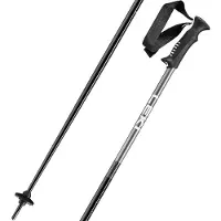 LEKI Herren Alpin-Skistock Primacy