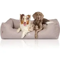 Knuffelwuff Orthopädisches Hundebett Luisa aus Velours mit feinem Handwebcharakter Sunshine Edition XXL 120 x 85cm Beige