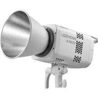 Godox LE300Bi Weißes Litemons Bi-Color-LED-Videolicht