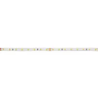 Brumberg 15571027