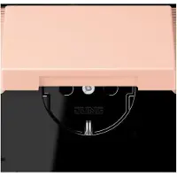 JUNG Steckdose SCHUKO