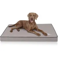 Knuffelwuff Orthopädische Hundematte Nantucket 1 St