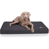 Knuffelwuff Orthopädische Hundematte Juna 1 St