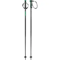 Head Herren Alpin-Skistock Frontside black green