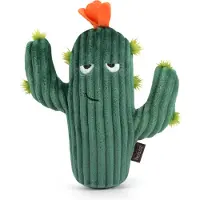P.L.A.Y. Pet Blooming Buddies - Prickly Pup Cactus