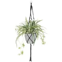 4Living Künstliche Pflanze in grün | Gr.: onesize