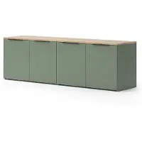 Vicco Wohnwand Wido Grün 2 Teile, Model 57456