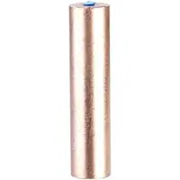 INFACTORY Ersatz-Kupferanode für solarbetriebenen Pool-Ionisator, Ø 25 mm