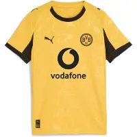 Puma Kinder Shirt BVB Cup Jersey Replica Jr with Sponsor