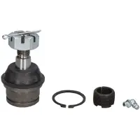 Delphi Traggelenk TC1690
