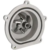 THERMOTEC Wasserpumpe D1K019TT