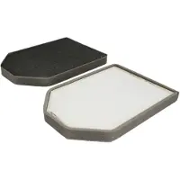 FILTRON Innenraumluftfilter K1069-2X