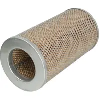 FILTRON Luftfilter AM441/1